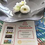Large Panoramic Terrace 2-Bedroom In Viareggio Sleeps 4